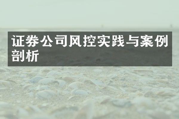 证券公司风控实践与案例剖析