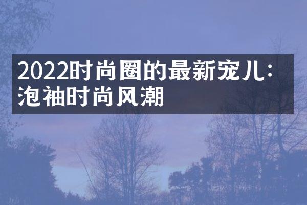 2022时尚圈的最新宠儿：泡泡袖时尚风潮