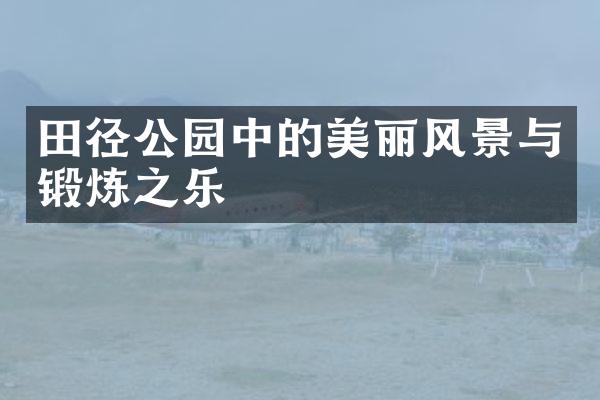 田径公园中的美丽风景与锻炼之乐