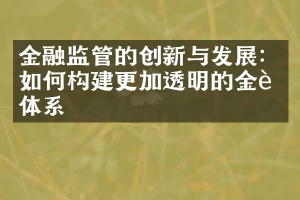 金融监管的创新与发展：如何构建更加透明的金融体系