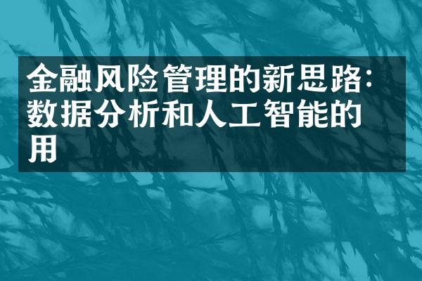 金融风险管理的新思路：数据分析和人工智能的应用