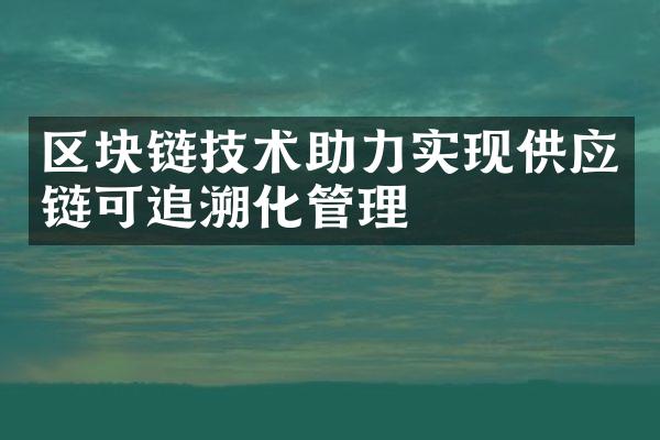 区块链技术助力实现供应链可追溯化管理