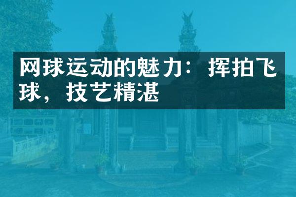 网球运动的魅力：挥拍飞球，技艺精湛