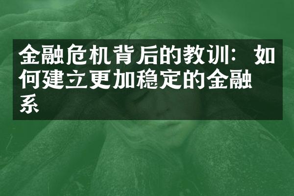 金融危机背后的教训：如何建立更加稳定的金融体系