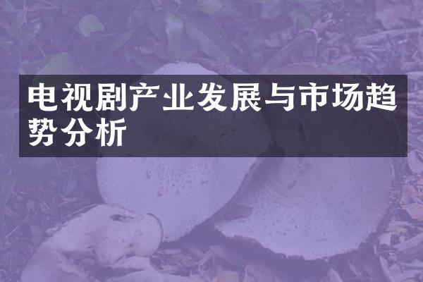 电视剧产业发展与市场趋势分析