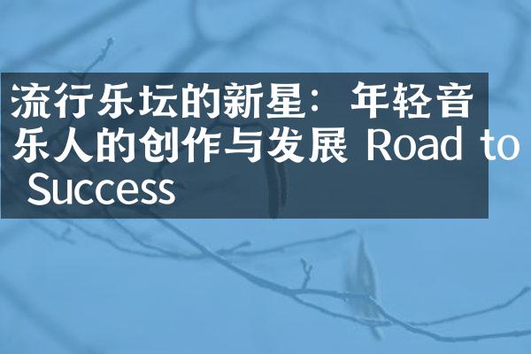 流行乐坛的新星：年轻音乐人的创作与发展 Road to Success