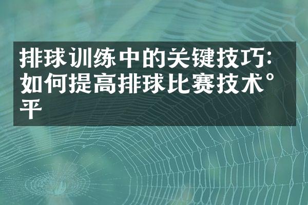 排球训练中的关键技巧：如何提高排球比赛技术水平