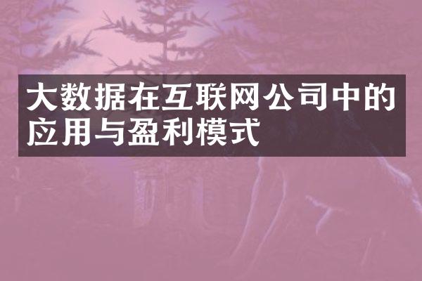 大数据在互联网公司中的应用与盈利模式