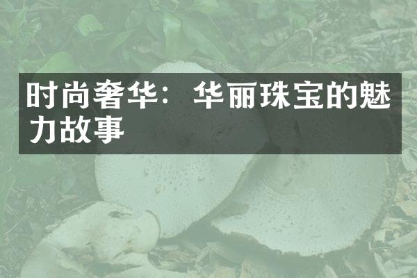 时尚奢华：华丽珠宝的魅力故事