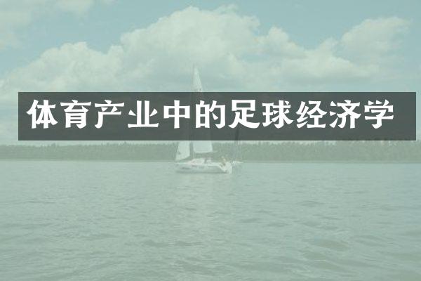 体育产业中的足球经济学