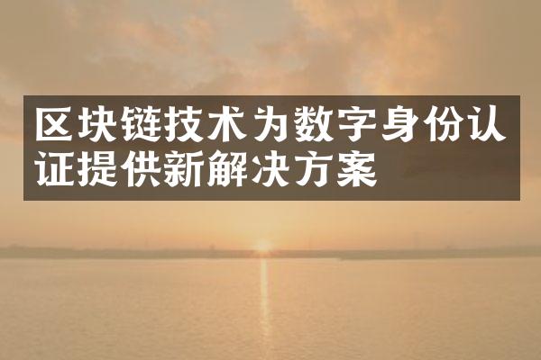 区块链技术为数字身份认证提供新解决方案