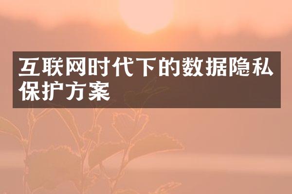 互联网时代下的数据隐私保护方案