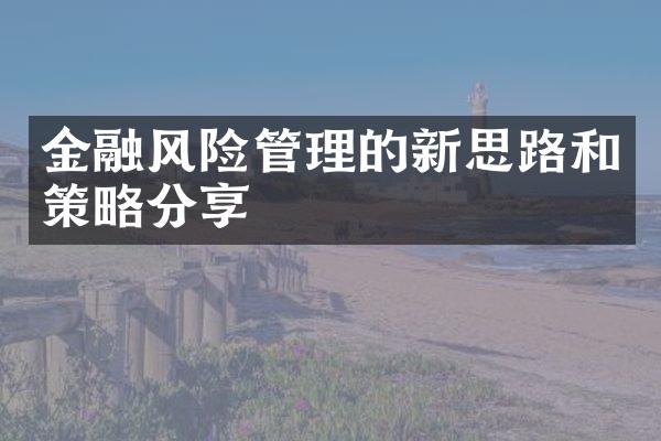 金融风险管理的新思路和策略分享