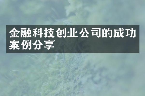 金融科技创业公司的成功案例分享