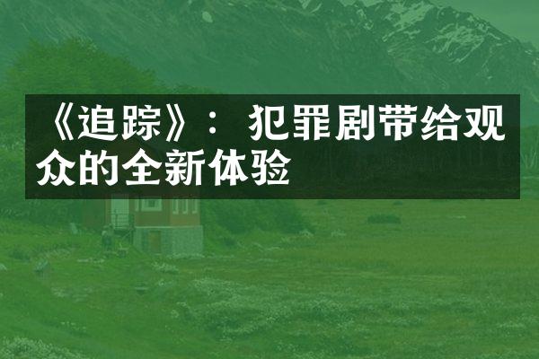 《追踪》：犯罪剧带给观众的全新体验