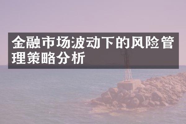 金融市场波动下的风险管理策略分析