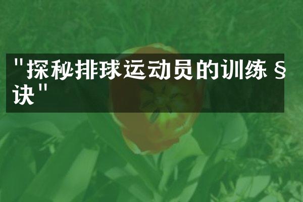 "探秘排球运动员的训练秘诀"