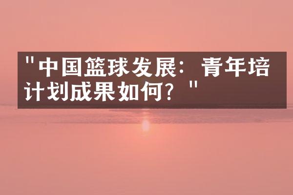 "中国篮球发展：青年培养计划成果如何？"