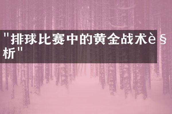 "排球比赛中的黄金战术解析"