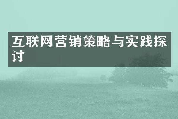 互联网营销策略与实践探讨