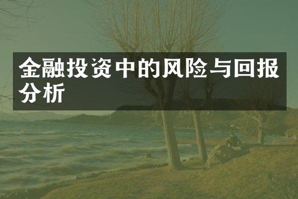 金融投资中的风险与回报分析