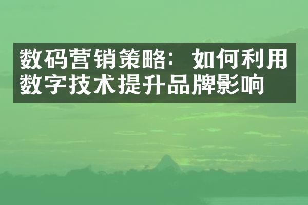 数码营销策略：如何利用数字技术提升品牌影响力