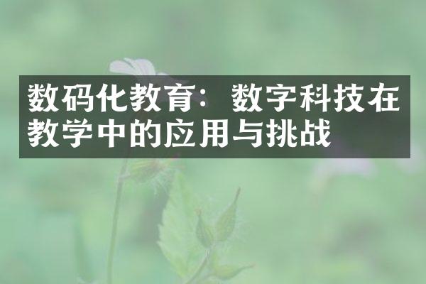 数码化教育：数字科技在教学中的应用与挑战