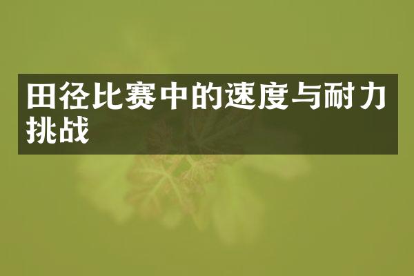 田径比赛中的速度与耐力挑战