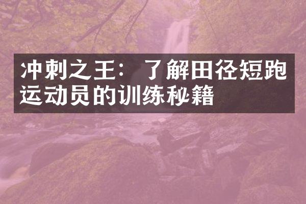 冲刺之王：了解田径短跑运动员的训练秘籍