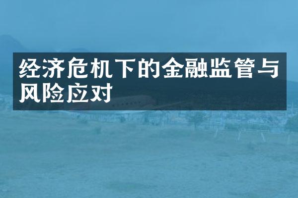 经济危机下的金融监管与风险应对