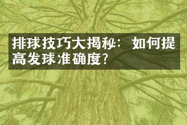 排球技巧揭秘：如何提高发球准确度？