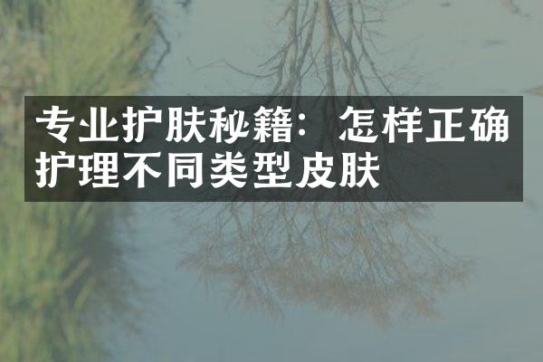 专业护肤秘籍：怎样正确护理不同类型皮肤