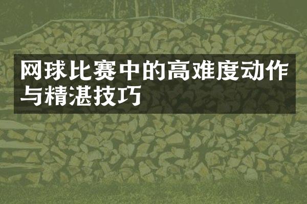 网球比赛中的高难度动作与精湛技巧