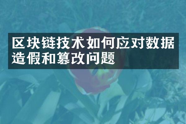 区块链技术如何应对数据造假和篡改问题