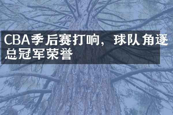 CBA季后赛打响，球队角逐总冠军荣誉