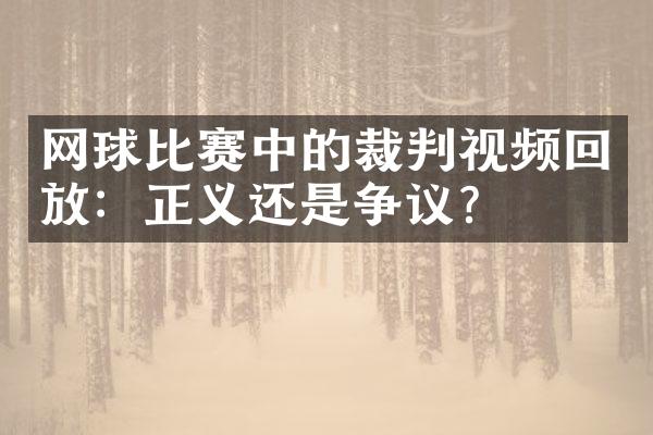 网球比赛中的裁判视频回放：正义还是争议？