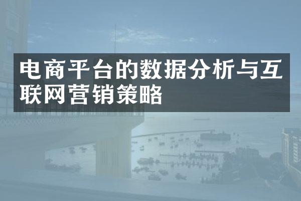 电商平台的数据分析与互联网营销策略