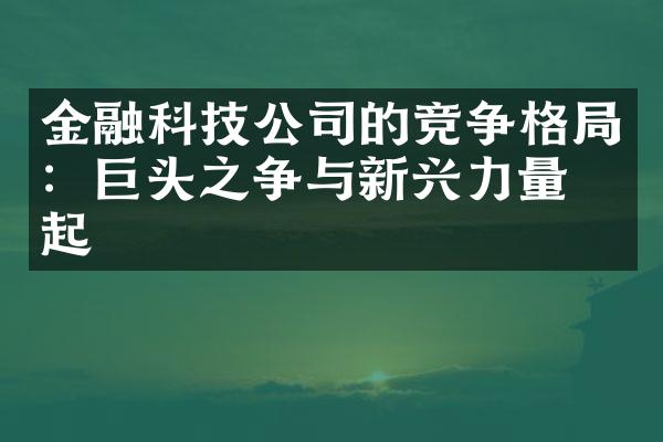 金融科技公司的竞争格局：巨头之争与新兴力量崛起