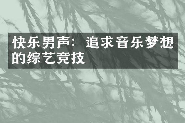 快乐男声：追求音乐梦想的综艺竞技