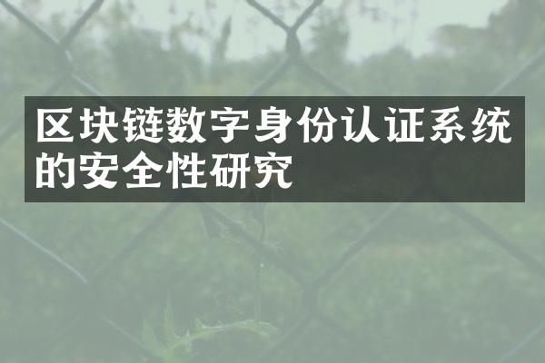 区块链数字身份认证系统的安全性研究