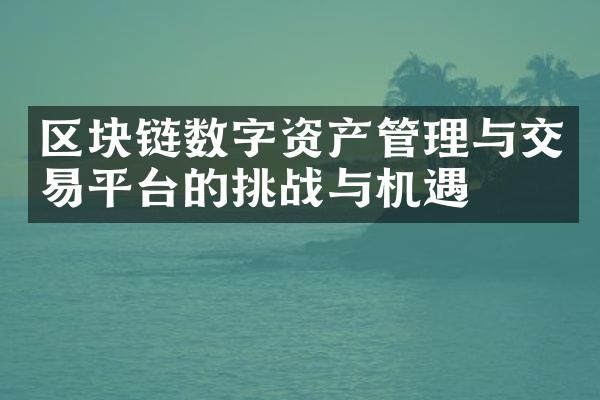 区块链数字资产管理与交易平台的挑战与机遇