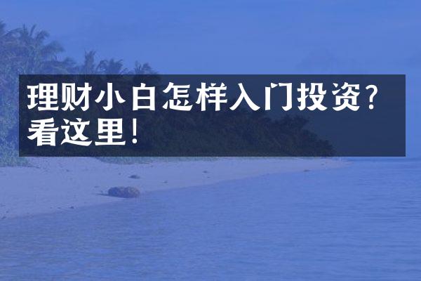 理财小白怎样入门投资？看这里！