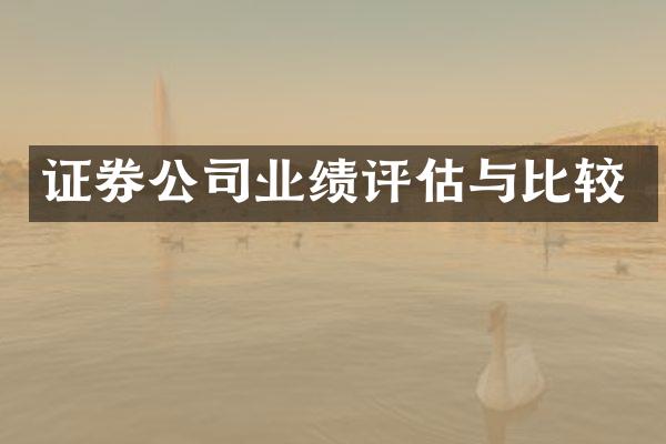 证券公司业绩评估与比较