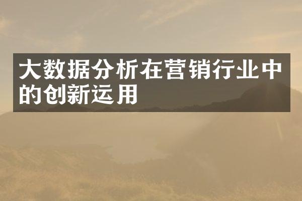 数据分析在营销行业中的创新运用