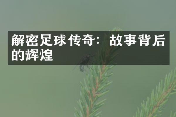 足球传奇：故事背后的辉煌