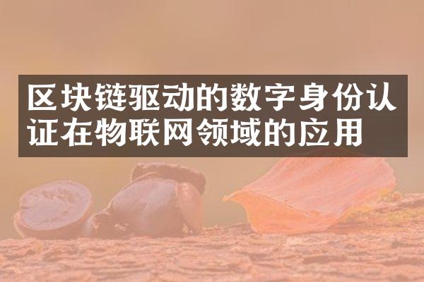 区块链驱动的数字身份认证在物联网领域的应用