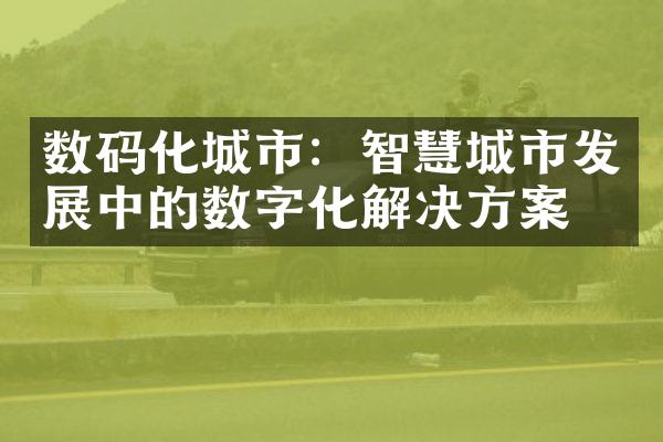 数码化城市：智慧城市发展中的数字化解决方案