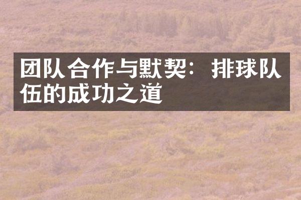 团队合作与默契：排球队伍的成功之道