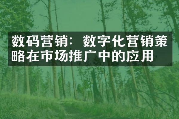 数码营销：数字化营销策略在市场推广中的应用