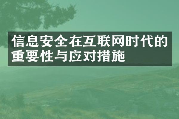 信息安全在互联网时代的重要性与应对措施